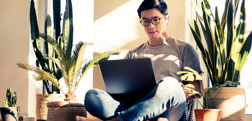 Man using laptop among houseplants