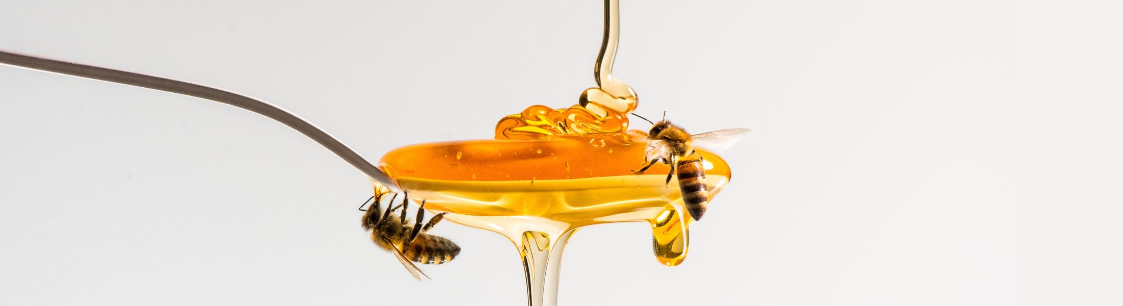 Honey laundering