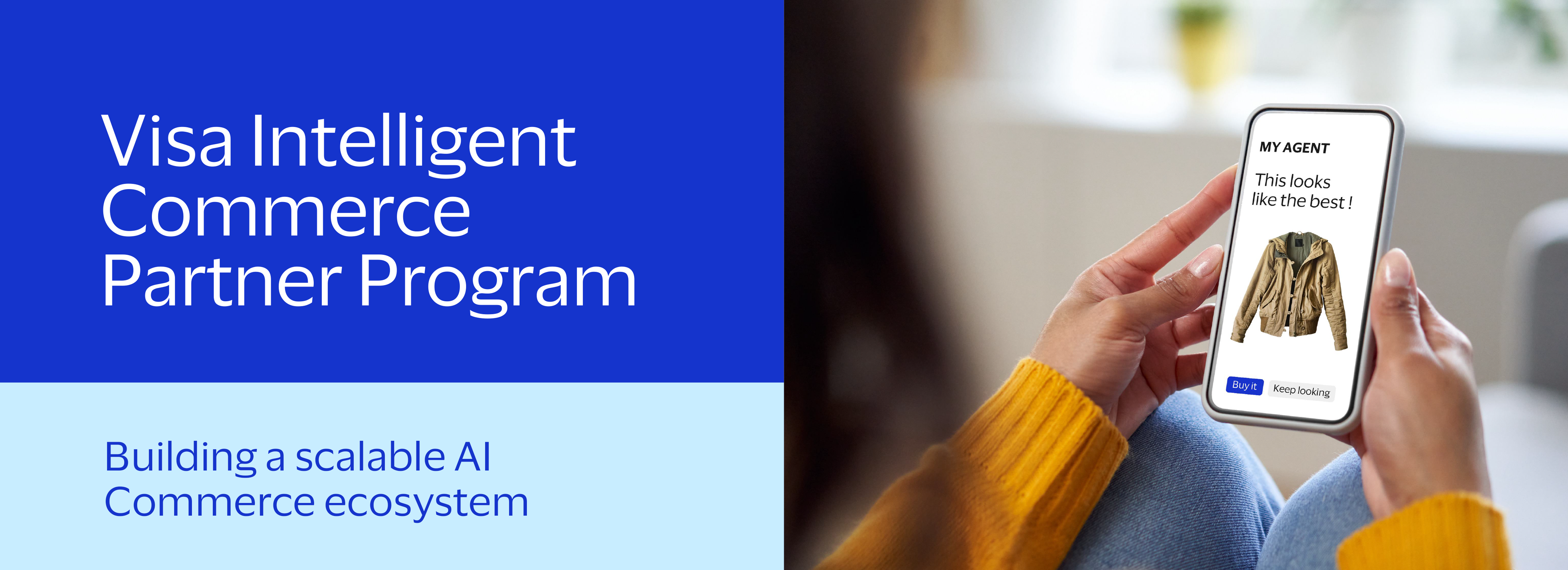 Visa Intelligent Commerce Partner Program